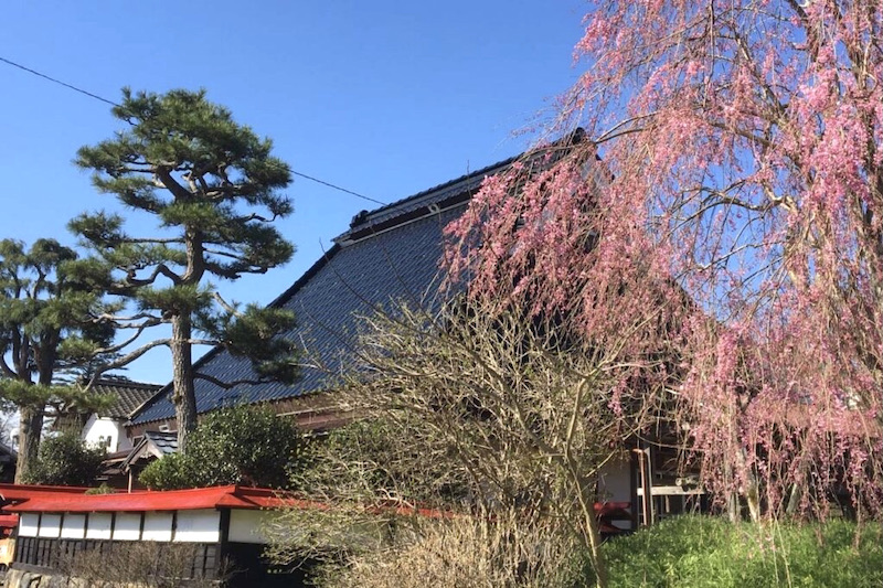 Stay at Traditional Japanese House & Eat Gibier Cuisine