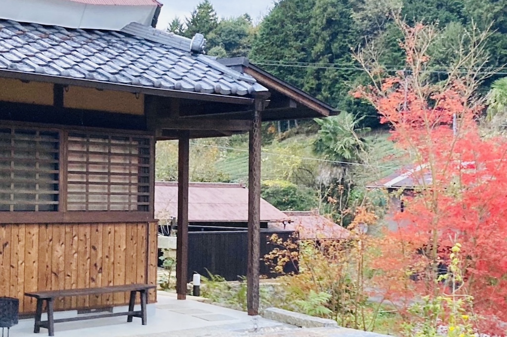 Nara Hakko Tour：Special Gut Health Experience in the heart of Japan